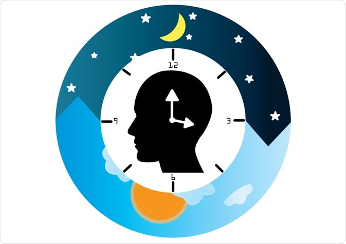 失眠了，只能吃安眠藥嗎？談「褪黑激素促進劑」與日夜節律